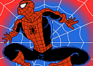 The Spiderator